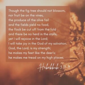 Habakkuk 3:17-19