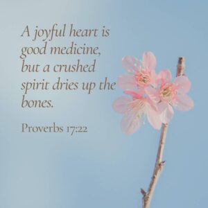 Proverbs 17:22