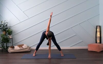 Twists, Toxins, and the Body’s Natural Detoxification System