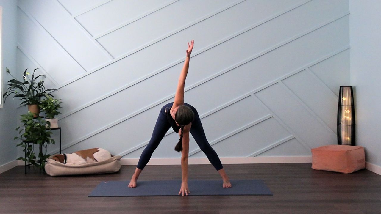 Twists, Toxins, and the Body's Natural Detox